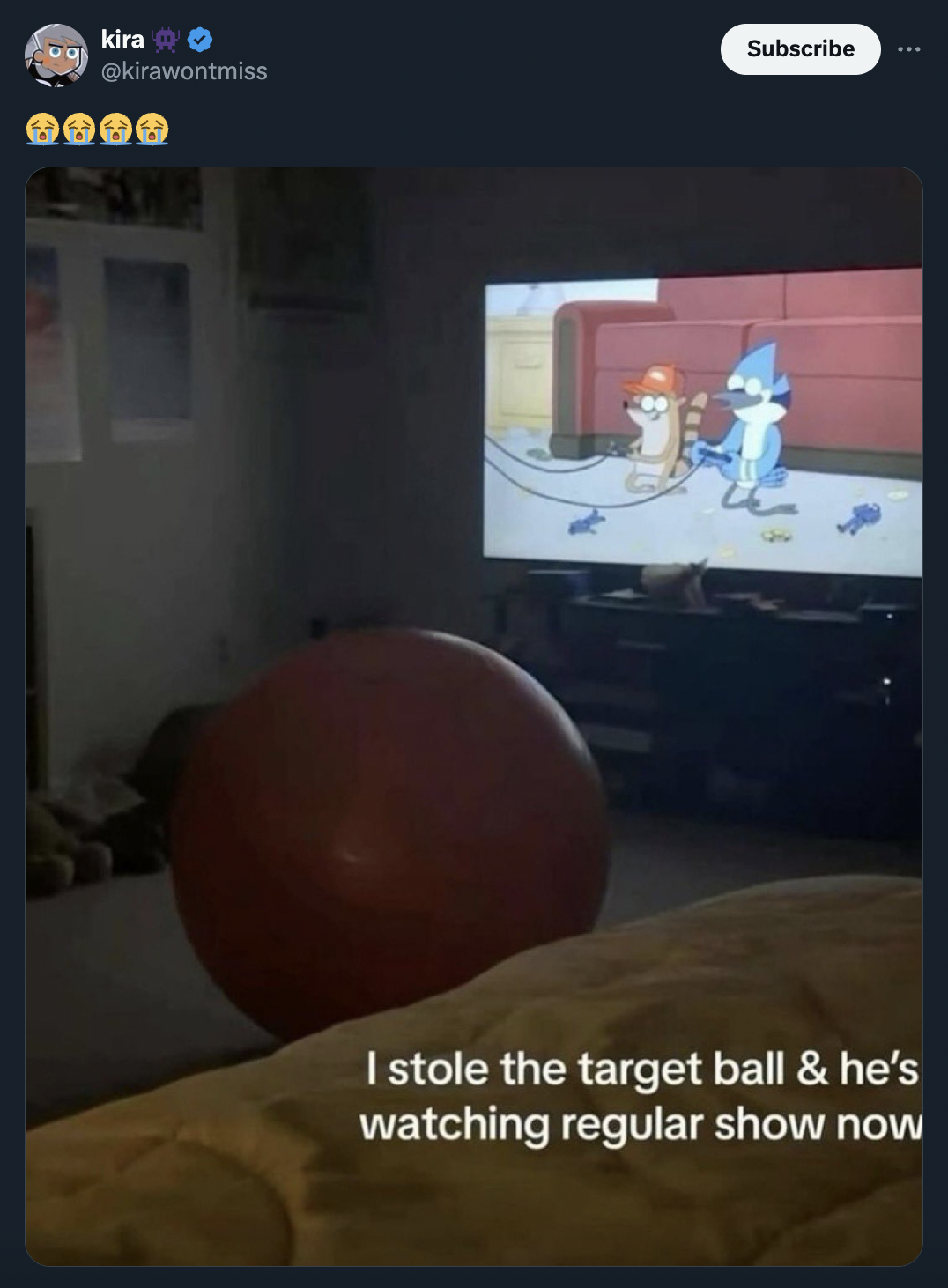 target ball watching tv - kira Subscribe I stole the target ball & he's watching regular show now